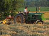 Raking the hay