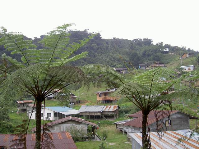 PICT7560.JPG