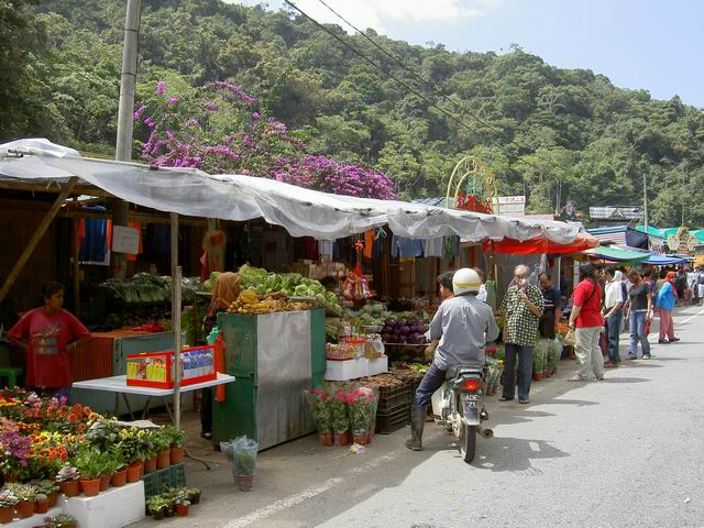 PICT7405.JPG