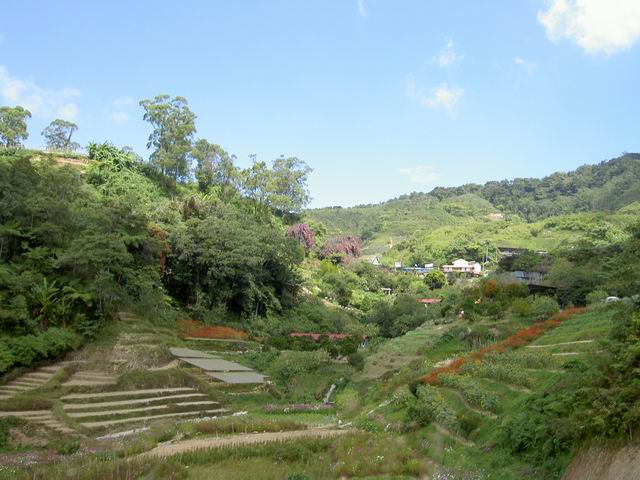 PICT7414.JPG