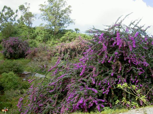 PICT7415.JPG