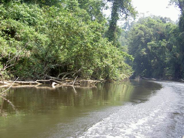 PICT8091.JPG