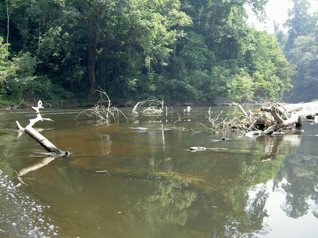 PICT8105.JPG