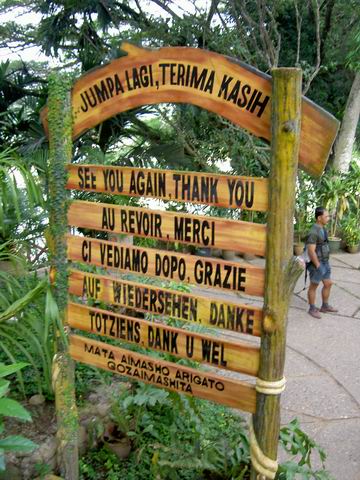 PICT8554.JPG
