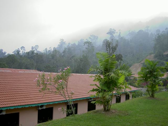 PICT8515.JPG