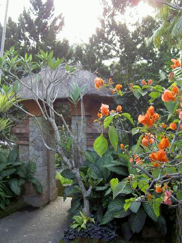 PICT0167.JPG
