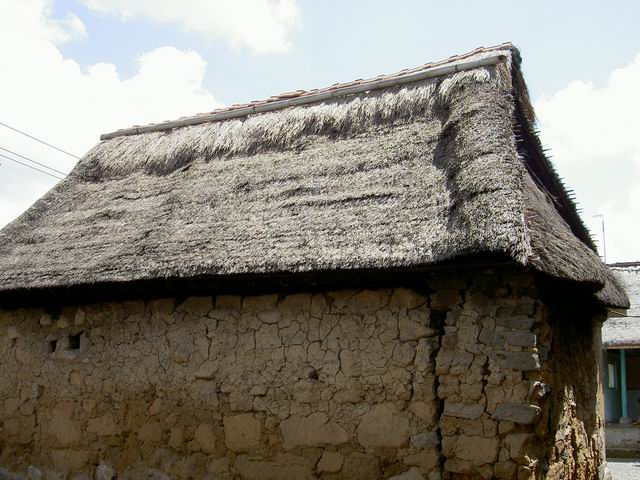 PICT9862.JPG