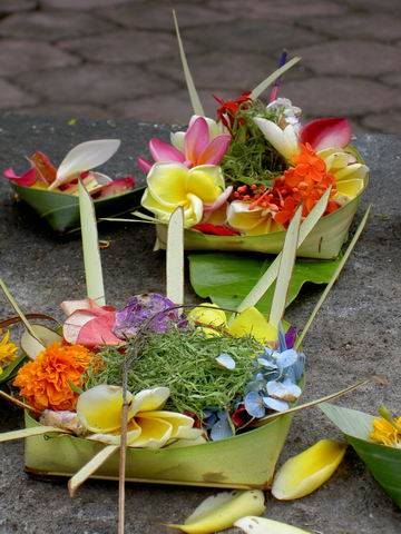 PICT9719.JPG