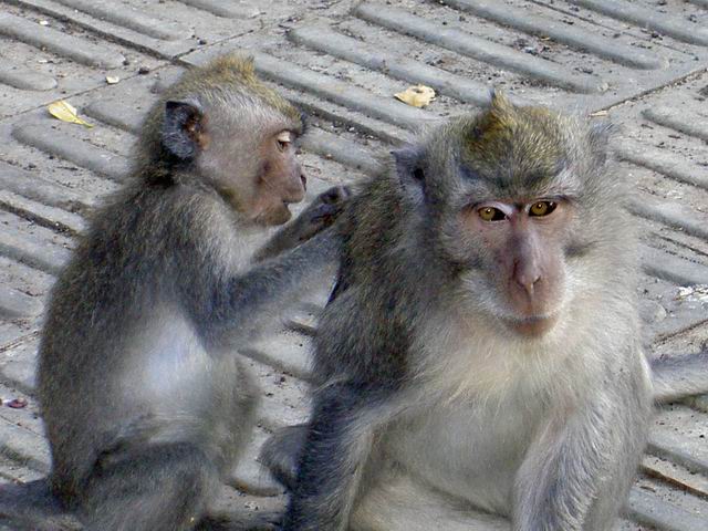 PICT0649.JPG