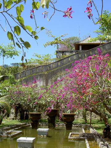 PICT1657.JPG