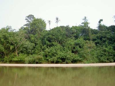 PICT7998.JPG