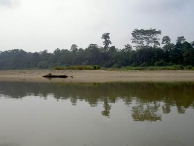 PICT8011.JPG
