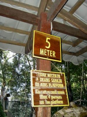 PICT8696.JPG
