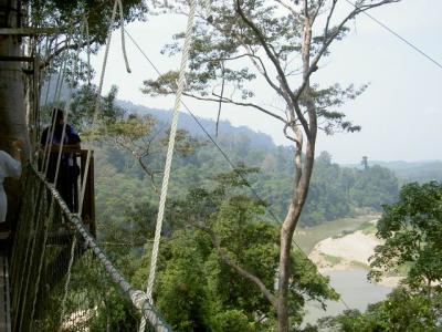 PICT8699.JPG
