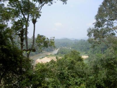 PICT8704.JPG