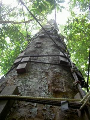 PICT8716.JPG