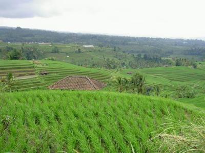 PICT0557.JPG
