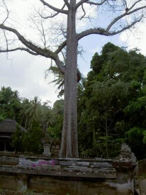 PICT0884.JPG