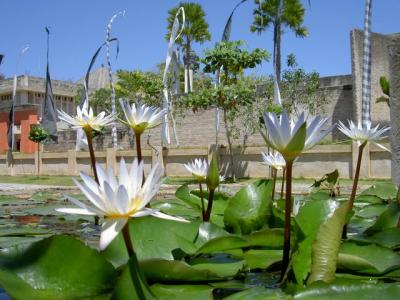 PICT1725.JPG