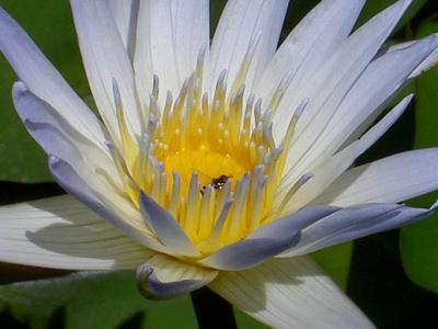 PICT1730.JPG
