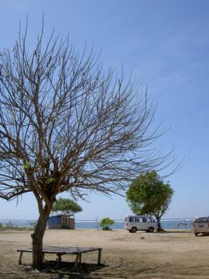 PICT1440.JPG