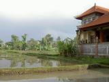 Around Ubud