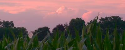 v3/31/363631/3/49235834.1052CornSet.jpg