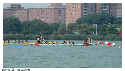 Dragon Boat Racing  DSC_1787.jpg
