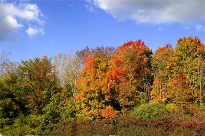 Fall Color-- Eagle Creek s  .jpg