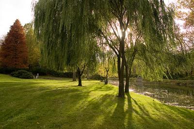 Butler's - Holcomb Garden  5 s .jpg