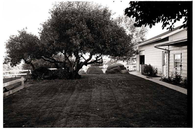 hays backyard