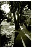 downtown sac