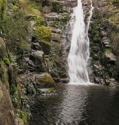 v3/31/464531/3/44794901.SnowdenFallsLakeTaliKarng.jpg
