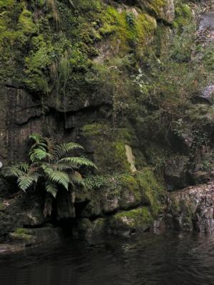 v3/31/464531/3/44794902.SnowdenFallsRockPoolnearLakeTaliKarng.jpg