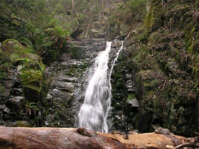 Snowden Falls Rock Pool with log