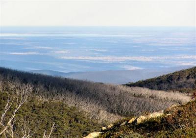 View from Spion Kopje looking SE towards Gippsland