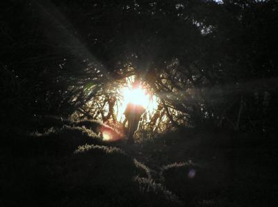 Walking into the fading light