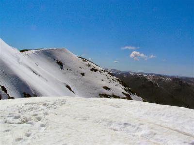 Feathertop Summit