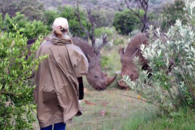 Masai Mara - Rhino spotting