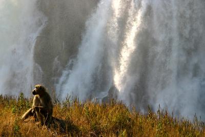 Victoria Falls