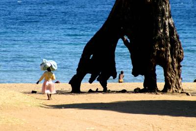 Lake Malawi - Its a tree on the beach