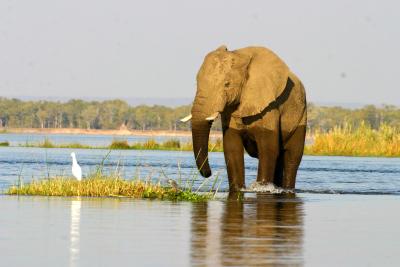 Lower Zambezi