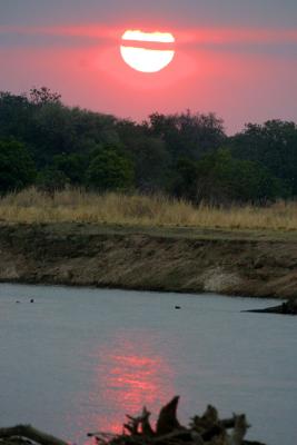 South Luangwa