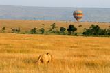 Masai Mara - Safe to go balooning ?