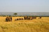 Masai Mara