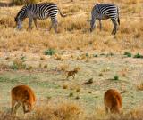 South Luangwa