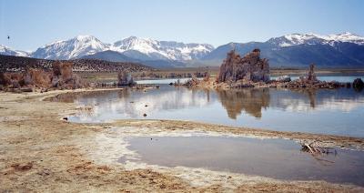 Tufa at Mono Lake 20