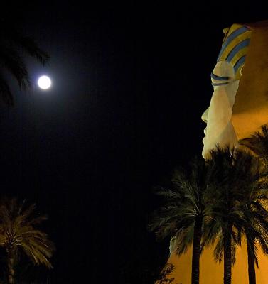 Sphinx by moonlight
