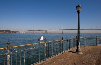 View from Pier 7