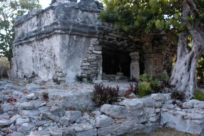 Mayan ruins at the condo 6042